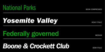 ITC Franklin Gothic LT Font Poster 4